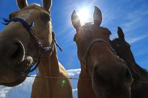 Targhee Lodge By Grand Targhee Resort Alta Esterno foto